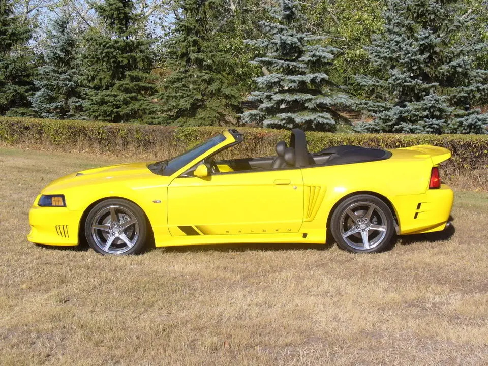 saleenside.webp