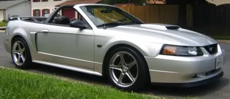 saleensig.webp