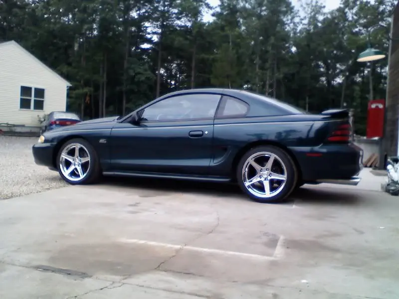 saleenson.webp
