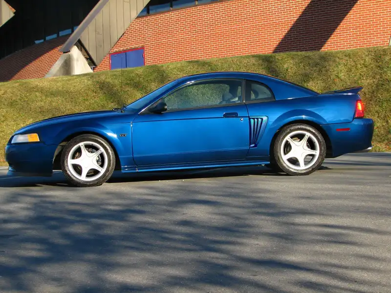 saleenss.webp