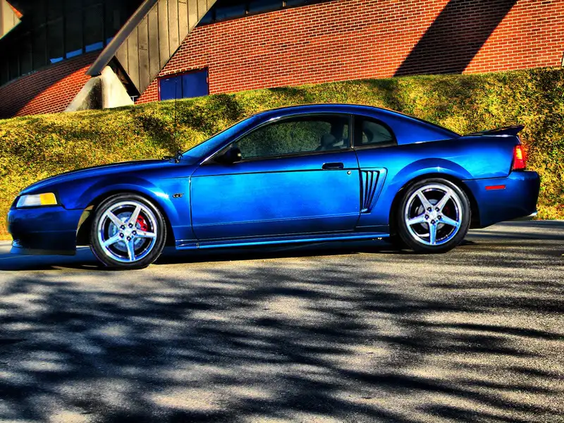 saleenssrEhdr-1.webp