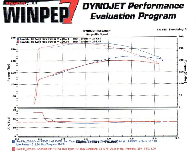 Saleensynosheet.webp