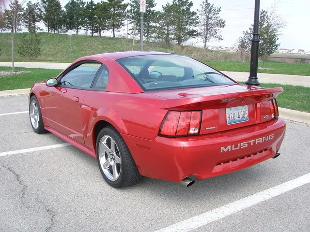 SaleenWing001.webp