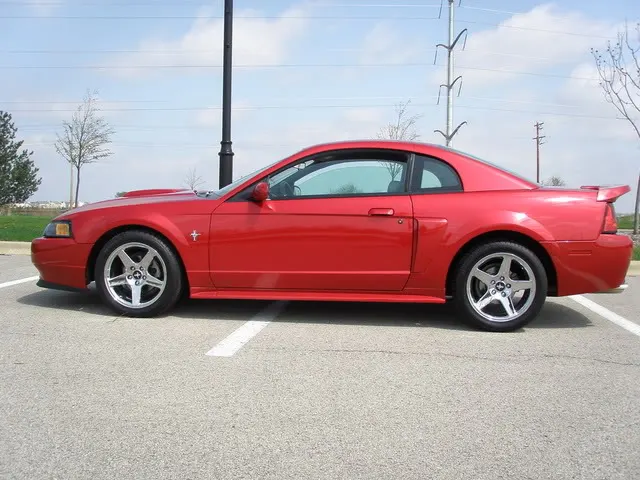 SaleenWing003.webp