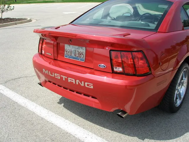 SaleenWing006.webp