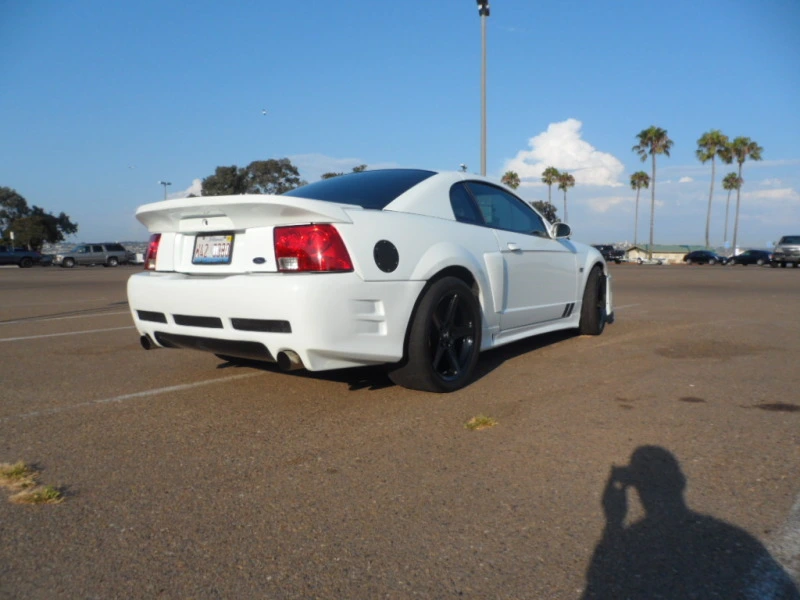 SAM_0917.webp