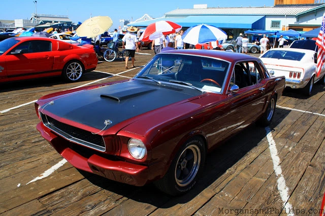 Santa_Monica_LA_Shelby_Club_10.webp