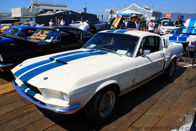 Santa_Monica_LA_Shelby_Club_14.webp