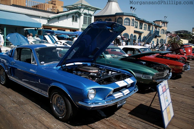 Santa_Monica_LA_Shelby_Club_5.webp