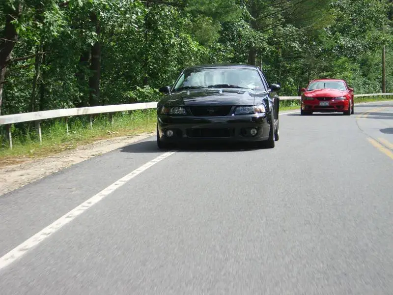 saratoga095.webp