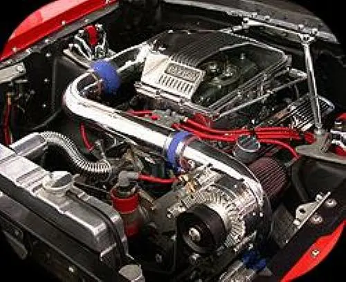 sbfpaxton.webp
