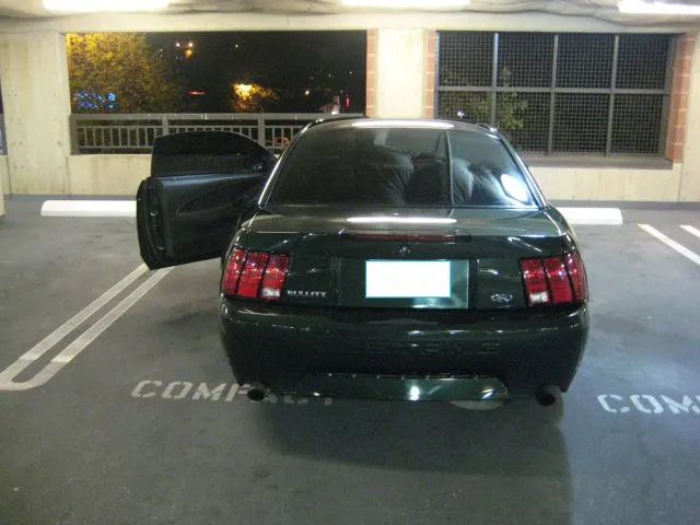 scaled.php?server=99&filename=img3343z.webp