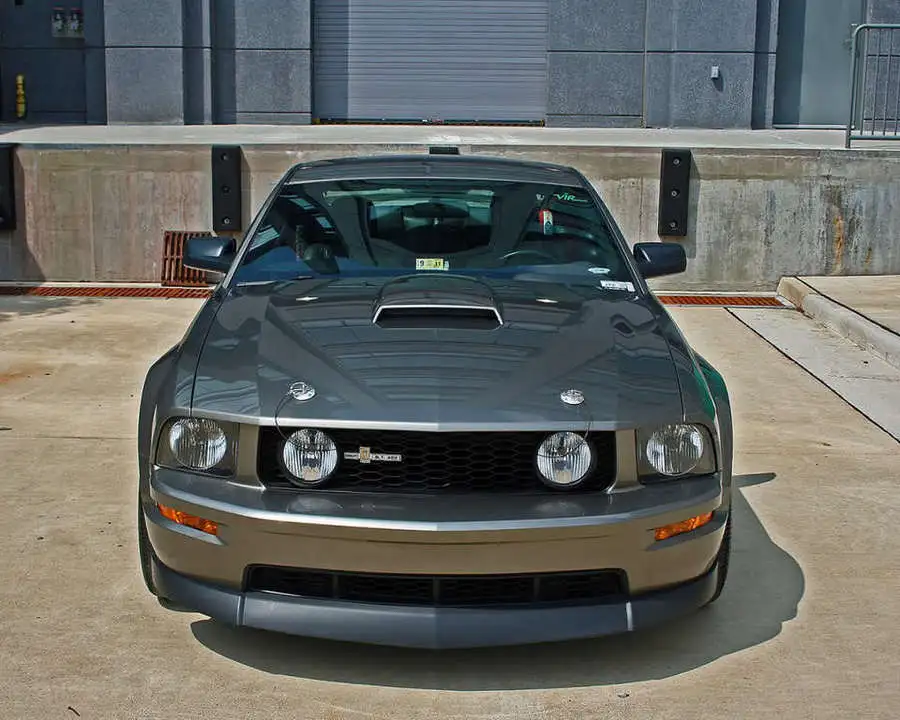 scott16.webp