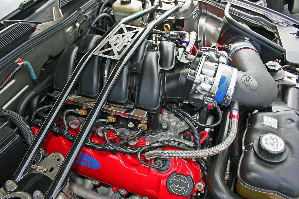 scott25.webp