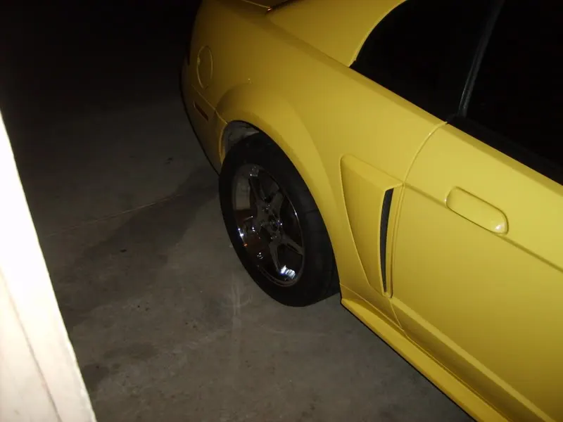 SD530628.webp