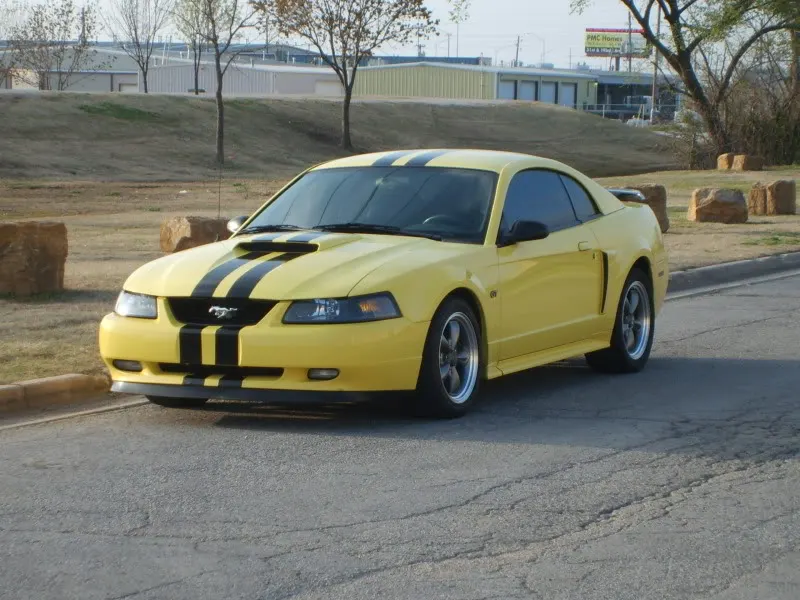SD531351.webp
