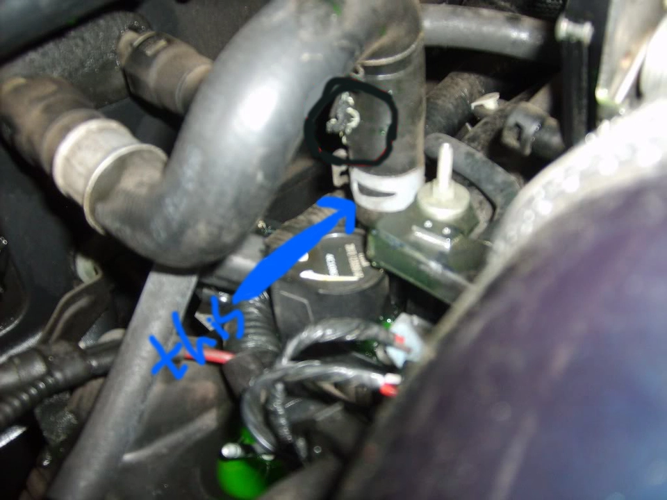 SD532303.webp