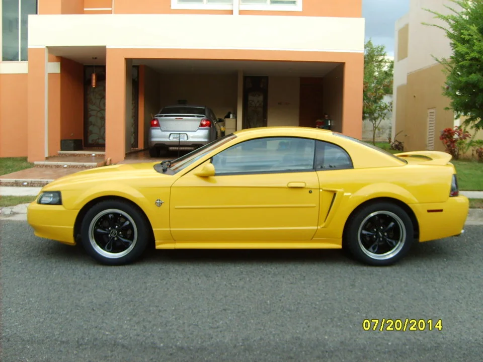 SD532754.webp