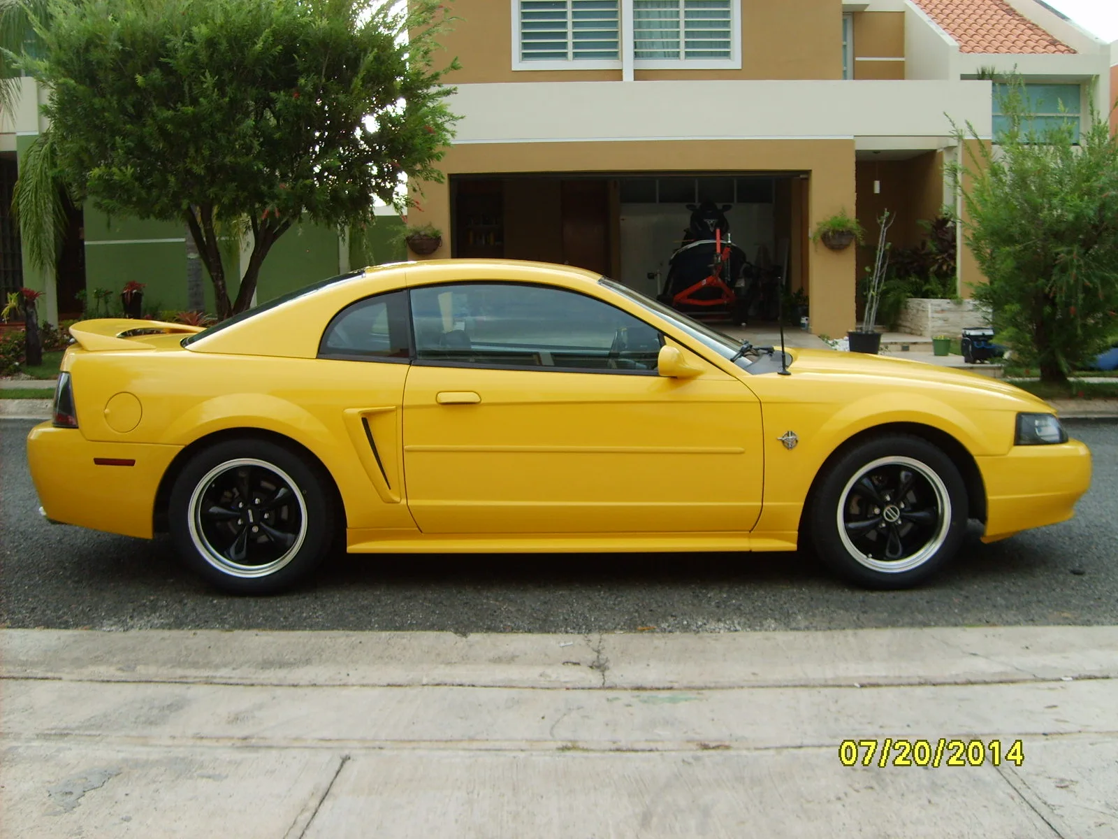 SD532759.webp