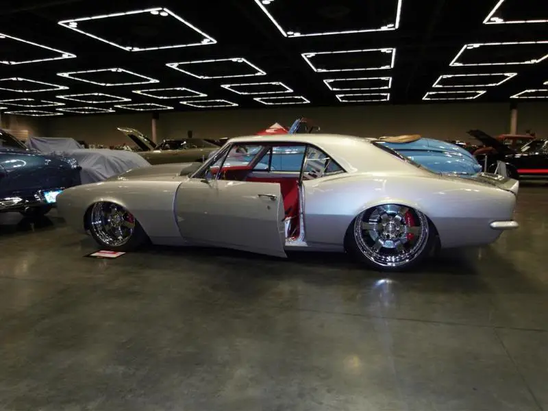 SDC10042Large.webp