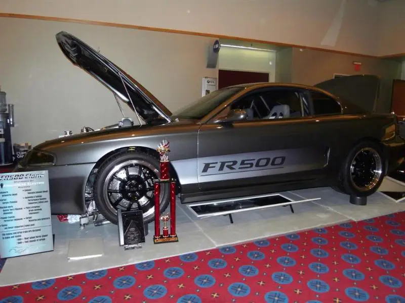 SDC10082Large.webp