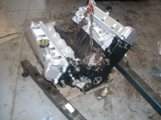 SDC10153.webp