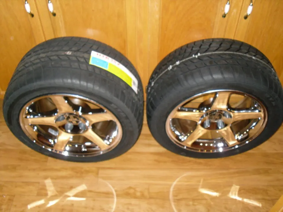 SDC11147.webp