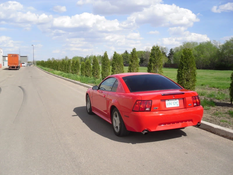 SDC11852.webp