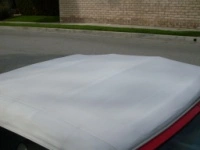 sdc13337g.th.webp