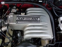 sdc13377.th.webp