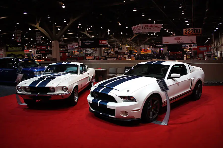 sema3.webp