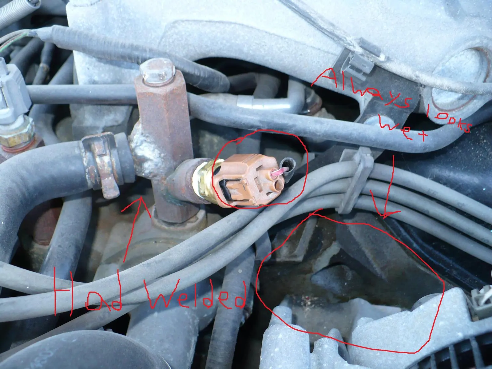 sensor closeup.webp
