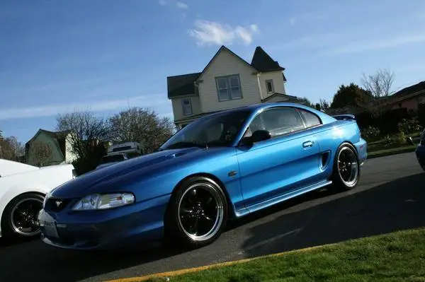 sexystang.webp