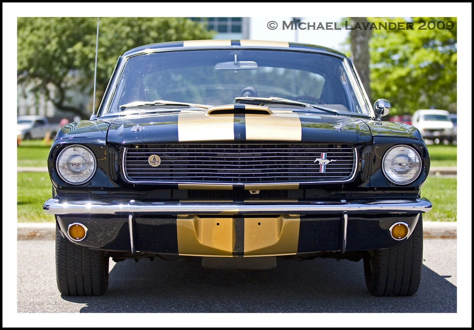 sh15.webp