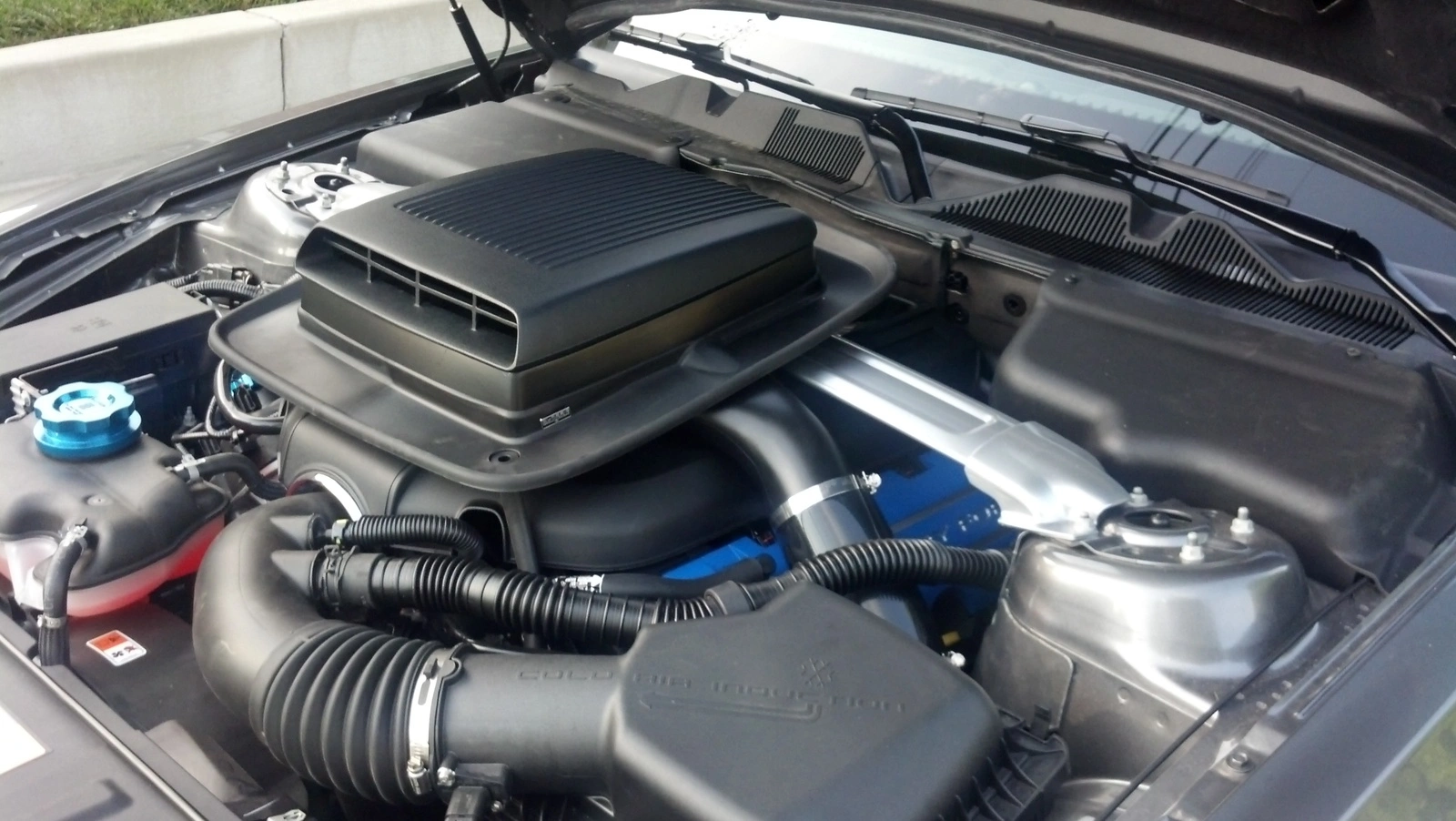 shaker left front.webp
