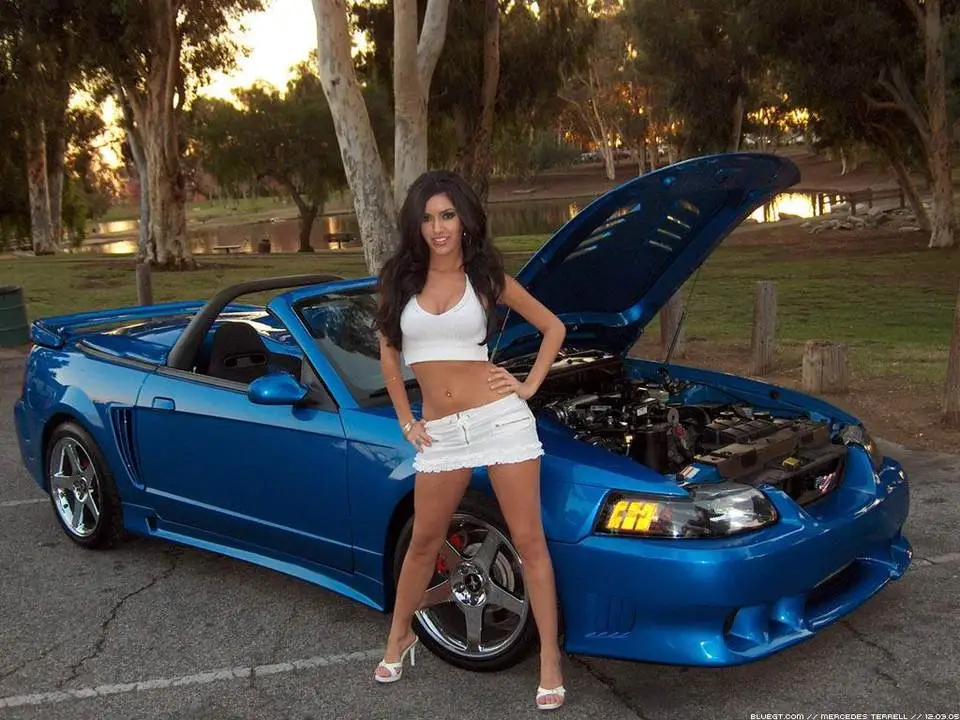 shawnevf1.webp