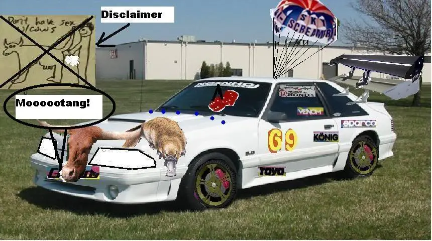 shawnmustang5.webp