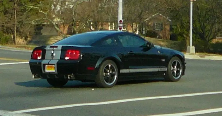 shelby-black.webp