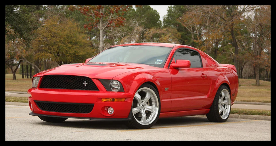 Shelby-Dec-01.webp