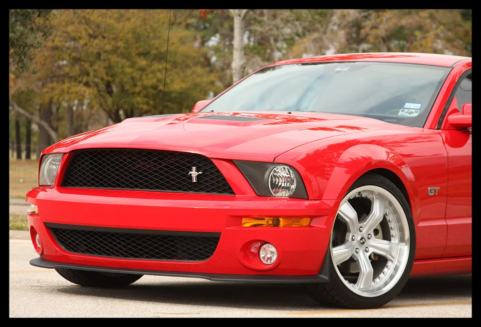 Shelby-Dec-02.webp