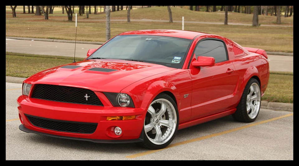 Shelby-Dec-03.webp