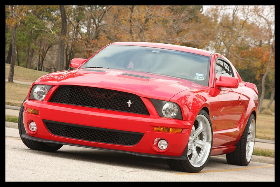Shelby-Dec-04.webp