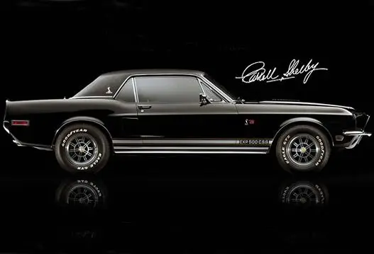 shelby-exp500-css-black-hornet-1.webp