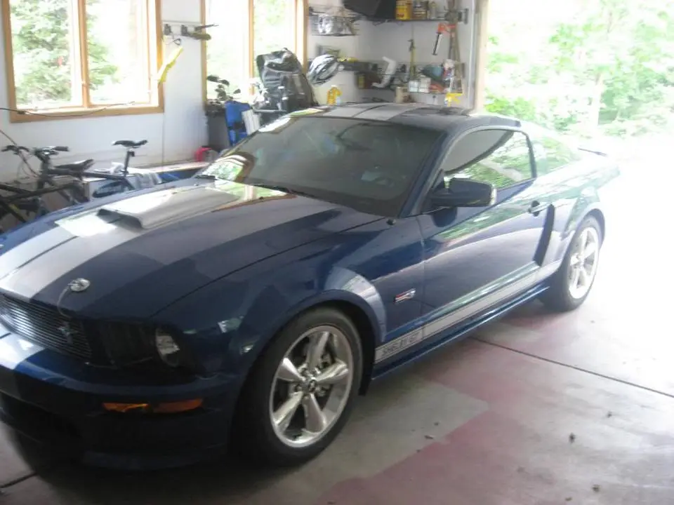 shelby006.webp