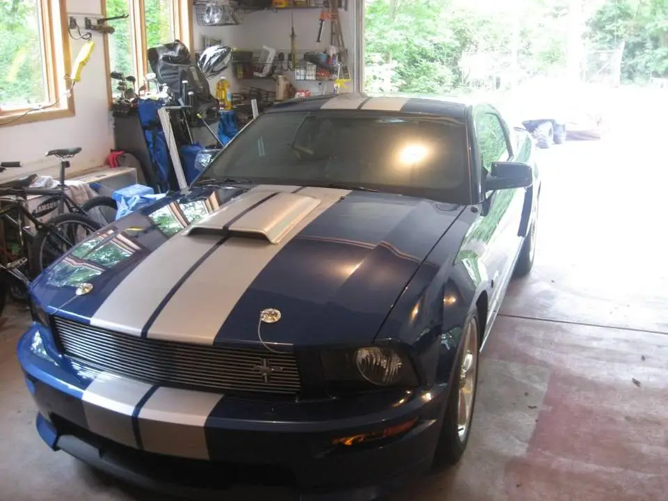shelby007.webp