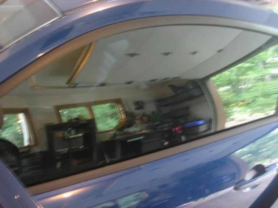 shelby009.webp