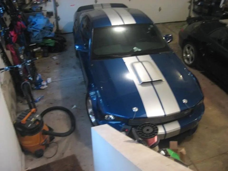 shelby020.webp