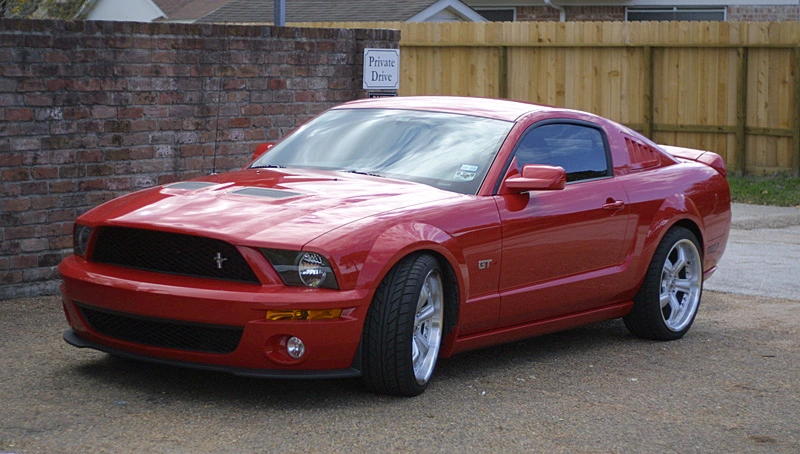 shelby08.webp