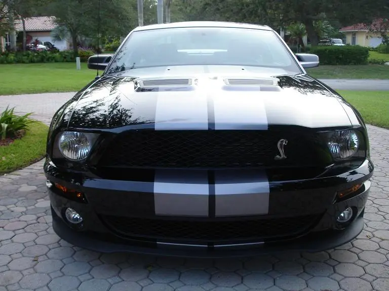 shelby6.webp