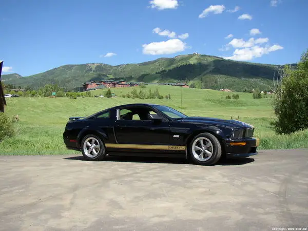 Shelby_028.webp
